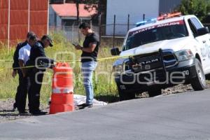 INVIDENTE ATROPELLADO