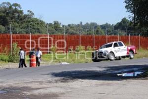 INVIDENTE ATROPELLADO