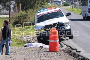 INVIDENTE ATROPELLADO