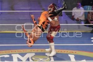 LUCHA LIBRE