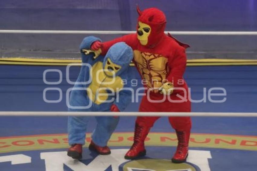 LUCHA LIBRE