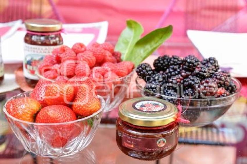 HUEJOTZINGO . FERIA DE LAS BERRIES