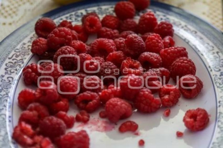 HUEJOTZINGO . FERIA DE LAS BERRIES
