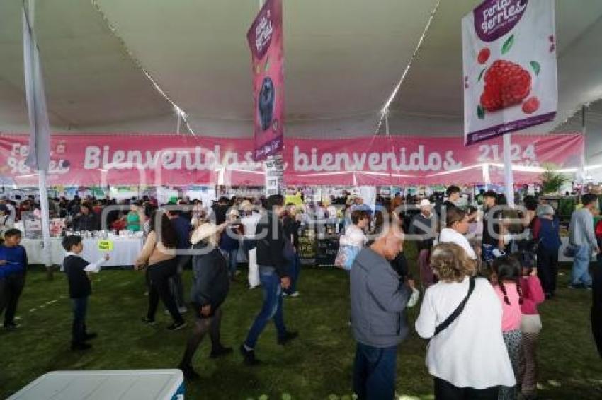 HUEJOTZINGO . FERIA DE LAS BERRIES