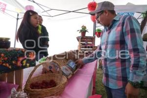 HUEJOTZINGO . FERIA DE LAS BERRIES