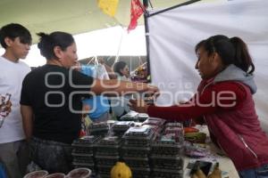 HUEJOTZINGO . FERIA DE LAS BERRIES