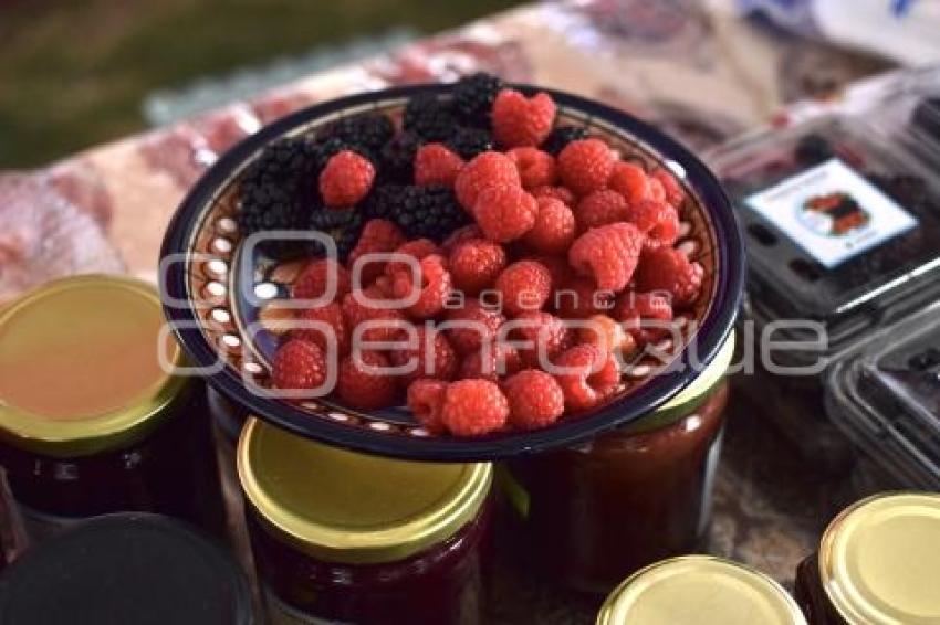 HUEJOTZINGO . FERIA DE LAS BERRIES