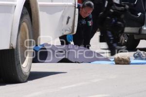 ATROPELLADA . TRANSPORTE PÚBLICO