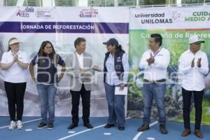 SAN ANDRÉS CHOLULA . JORNADA DE REFORESTACIÓN