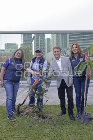 SAN ANDRÉS CHOLULA . JORNADA DE REFORESTACIÓN