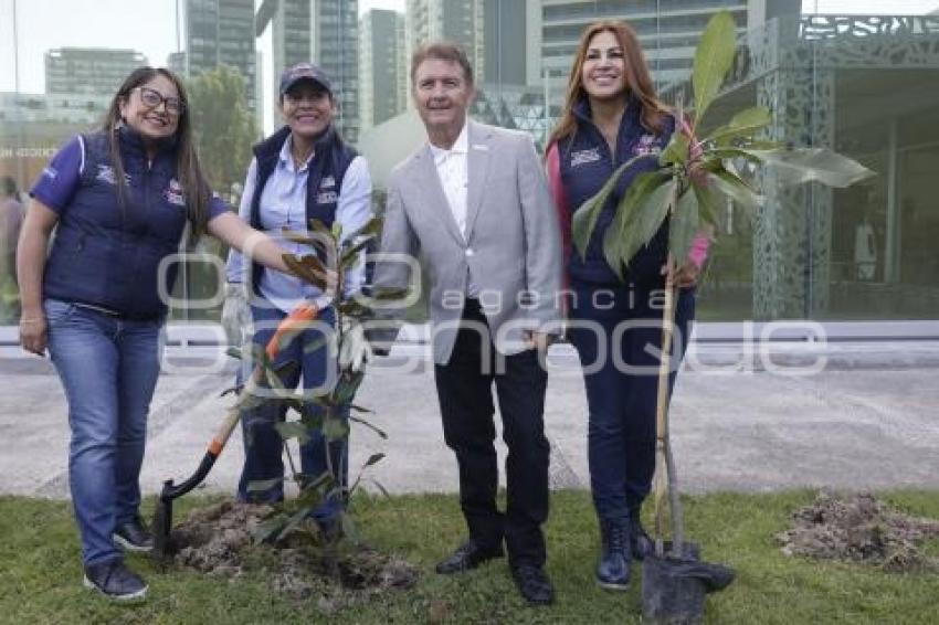 SAN ANDRÉS CHOLULA . JORNADA DE REFORESTACIÓN