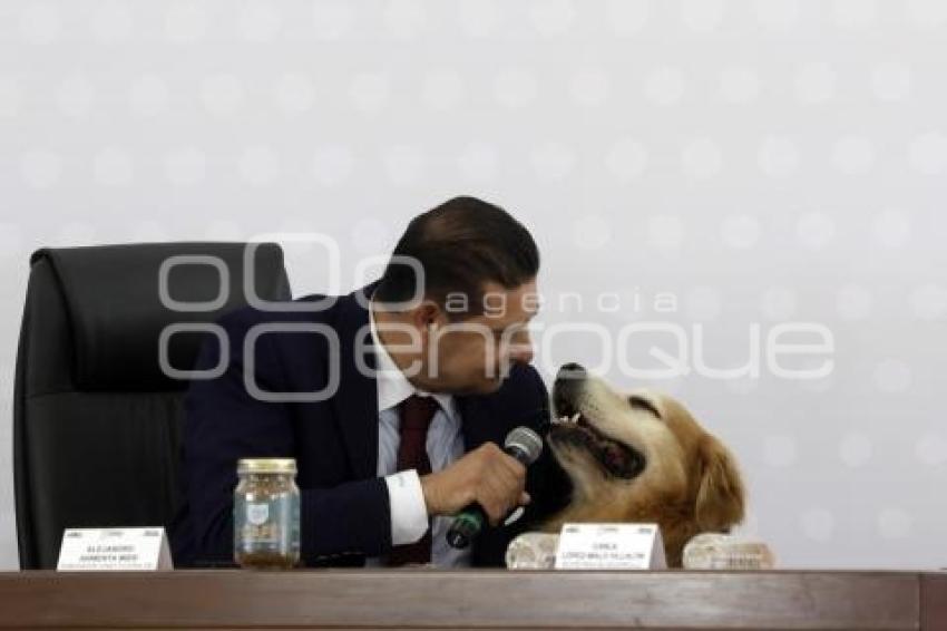 GOBIERNO ESTATAL . MAÑANERA