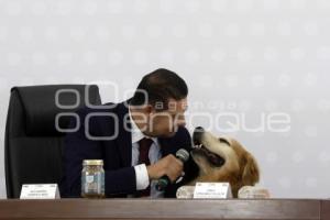 GOBIERNO ESTATAL . MAÑANERA