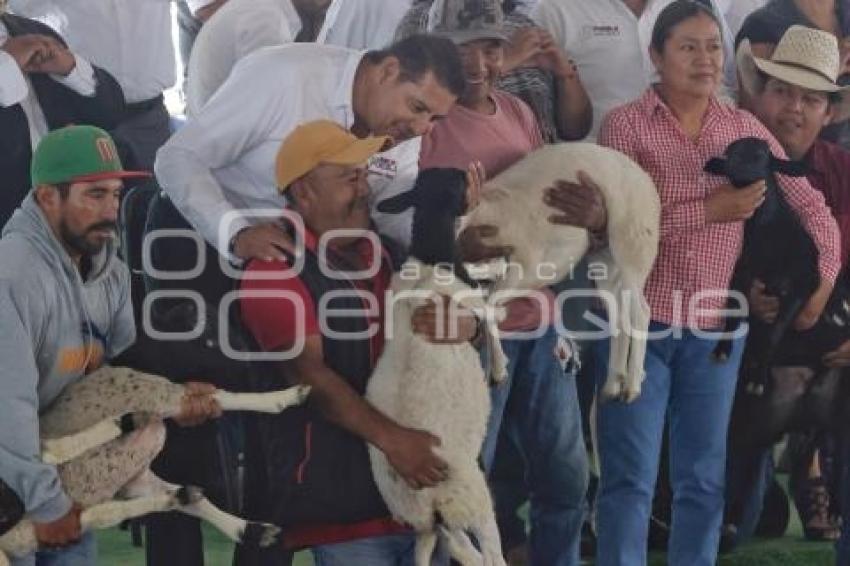 GOBIERNO ESTATAL . APOYO CAMPO