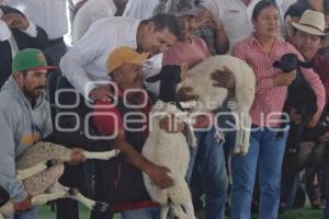 GOBIERNO ESTATAL . APOYO CAMPO