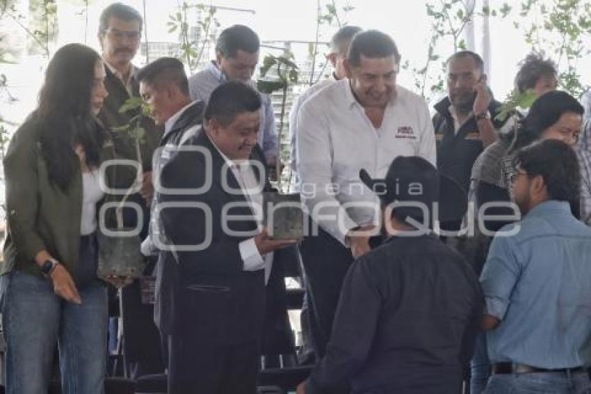 GOBIERNO ESTATAL . APOYO CAMPO