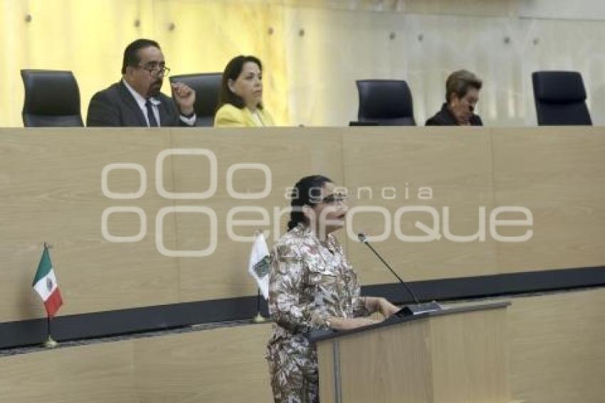CONGRESO . COMISIÓN PERMANENTE