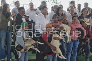 GOBIERNO ESTATAL . APOYO CAMPO