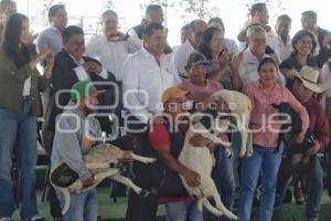 GOBIERNO ESTATAL . APOYO CAMPO