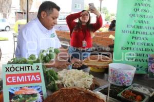 ATLIXCO . FESTIVAL DE LA CEMITA
