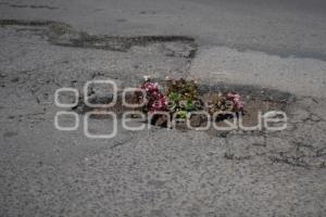 TLAXCALA . BACHE