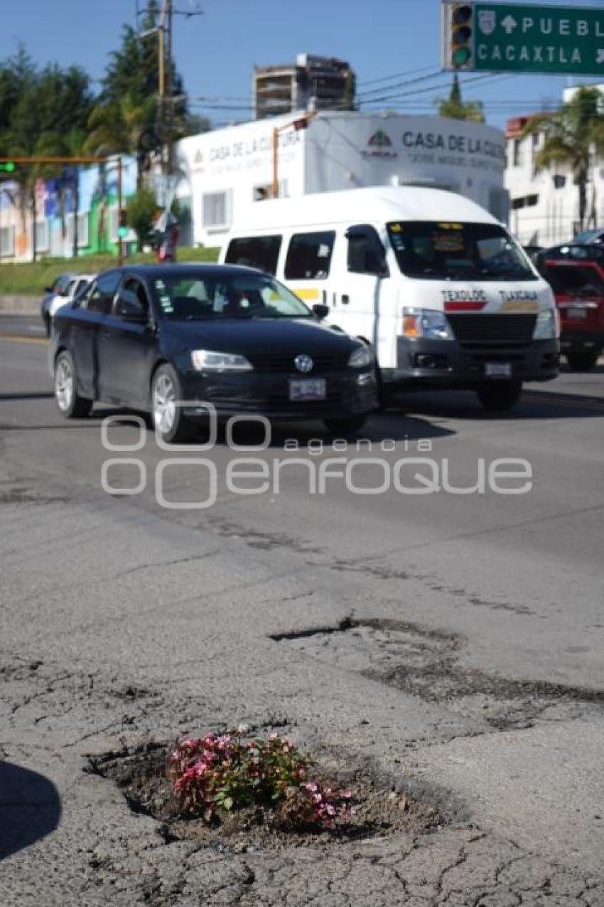 TLAXCALA . BACHE