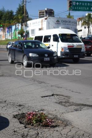 TLAXCALA . BACHE