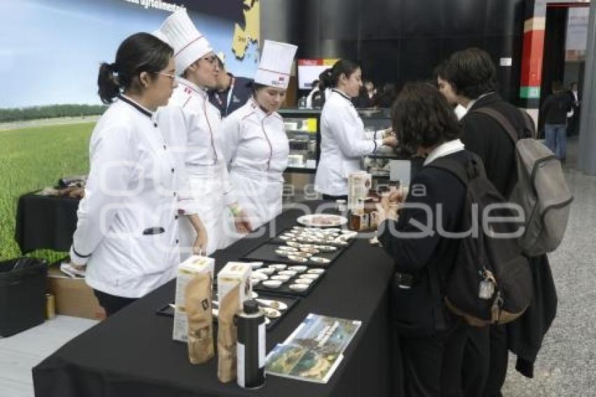 LATINO GASTRONOMIC
