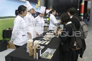 LATINO GASTRONOMIC
