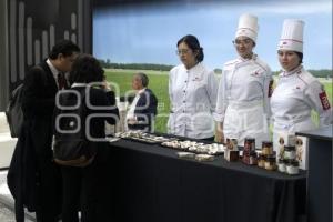 LATINO GASTRONOMIC