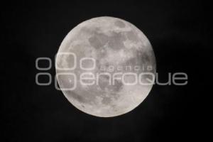 LUNA LLENA