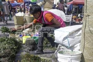 SAN PEDRO CHOLULA . TRUEQUE