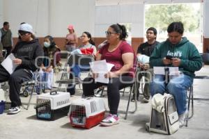 TLAXCALA . JORNADA DE ESTERILIZACIÓN