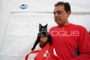 TLAXCALA . JORNADA DE ESTERILIZACIÓN