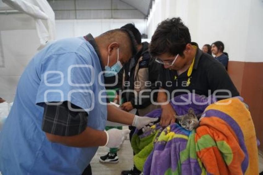 TLAXCALA . JORNADA DE ESTERILIZACIÓN