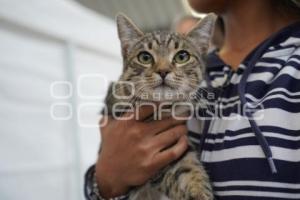 TLAXCALA . JORNADA DE ESTERILIZACIÓN