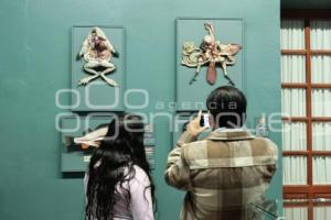 NOCHE DE MUSEOS