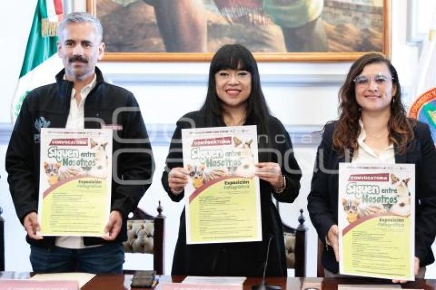 IMACP . CONCURSO FOTOGRÁFICO