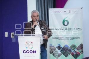TLAXCALA . RAFAEL PEÑA BERNAL