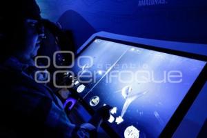 ACUARIO MICHIN . EXPERIENCIA INMERSIVA