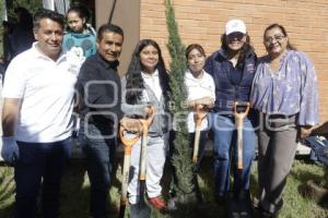 SAN ANDRÉS CHOLULA . JORNADA DE REFORESTACIÓN
