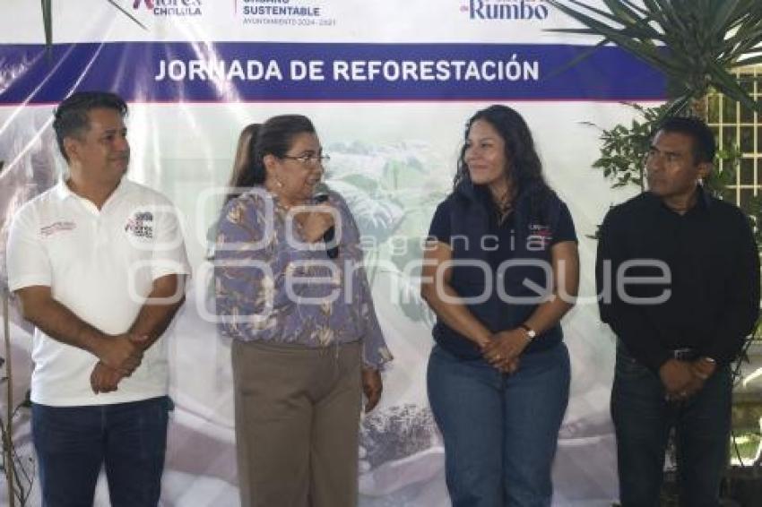SAN ANDRÉS CHOLULA . JORNADA DE REFORESTACIÓN