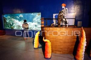 ACUARIO MICHIN . EXPERIENCIA INMERSIVA