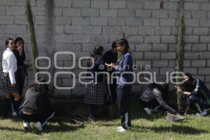 SAN ANDRÉS CHOLULA . JORNADA DE REFORESTACIÓN