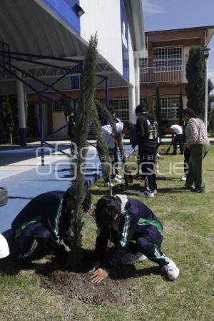 SAN ANDRÉS CHOLULA . JORNADA DE REFORESTACIÓN