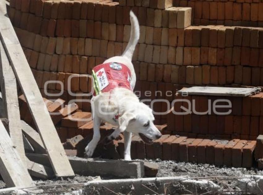 SAN ANDRÉS CHOLULA . SIMULACRO NACIONAL 2025