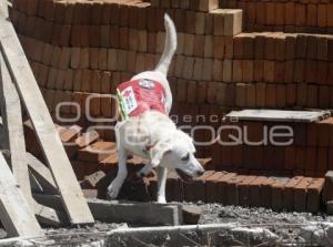 SAN ANDRÉS CHOLULA . SIMULACRO NACIONAL 2025