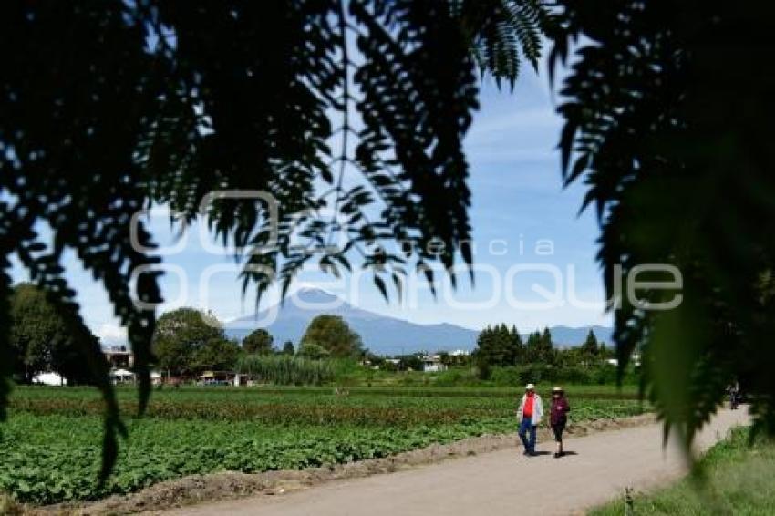 VOLCÁN . POPOCATÉPETL