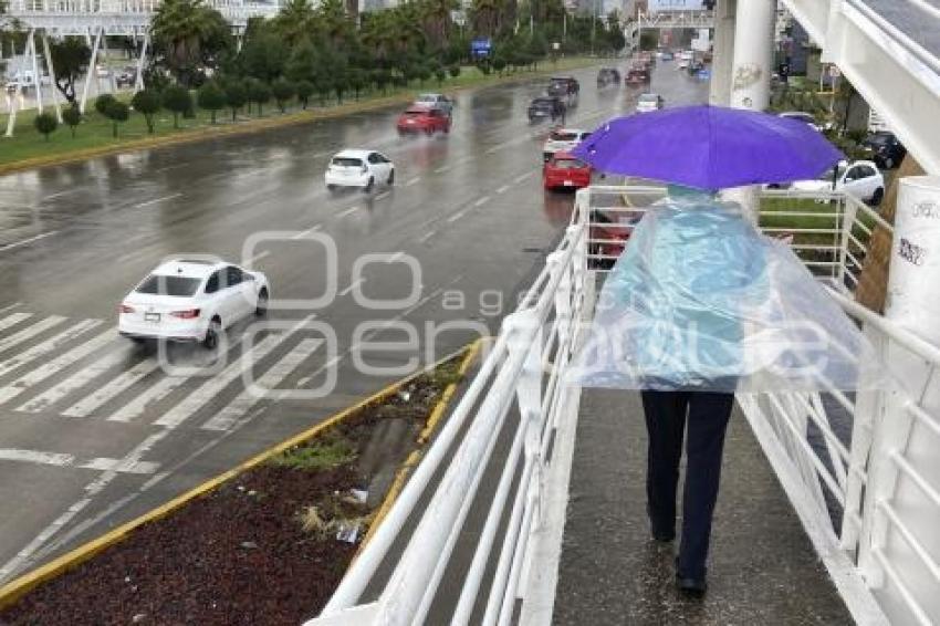 CLIMA . LLUVIA