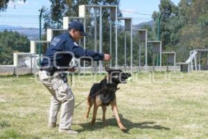 TLAXCALA . UNIDAD CANINA K-9